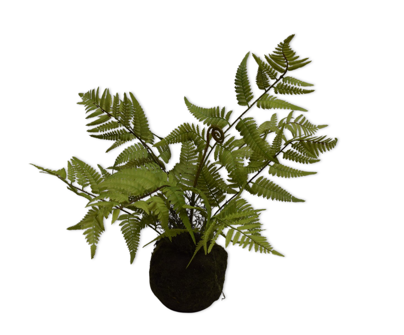 VAREN O/SOIL GROEN  46 cm (set of 2)