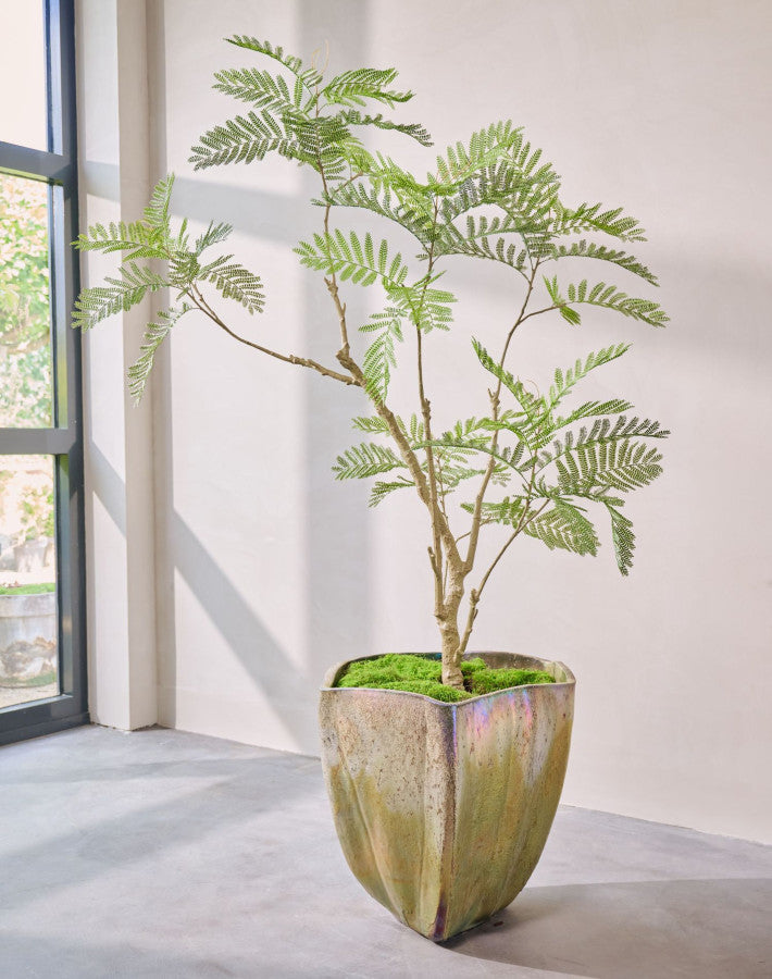 ACACIA I/POT GROEN 210 cm