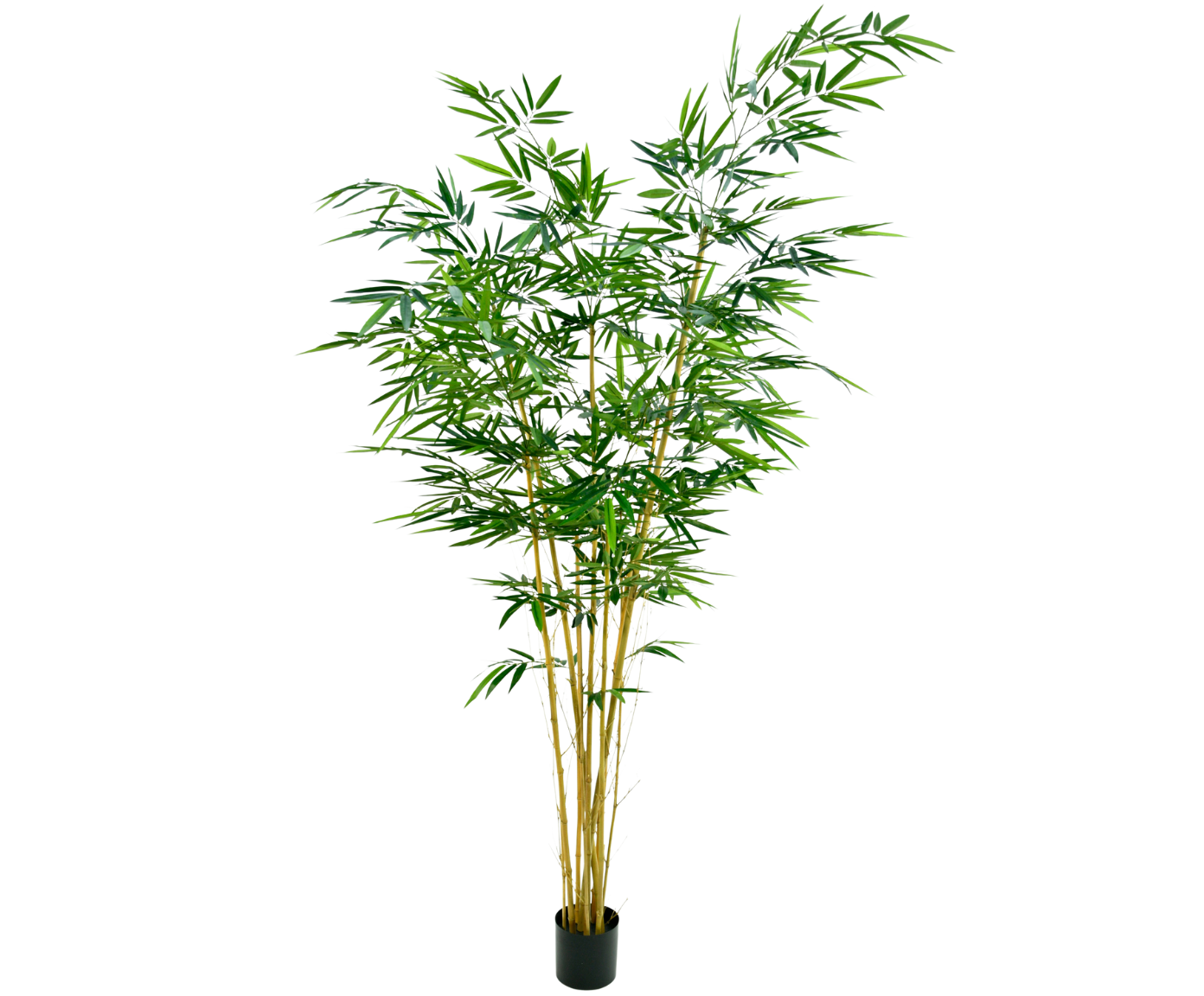 BAMBOE I/POT GROEN  213 cm