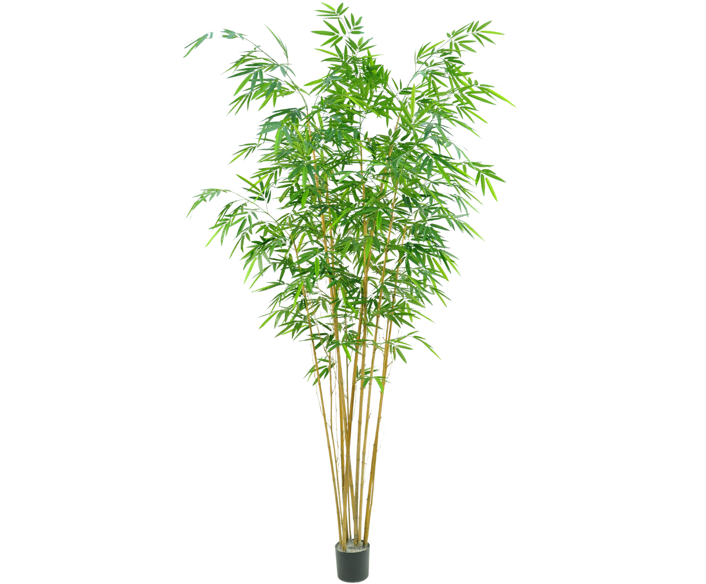 BAMBOE I/POT GROEN  274 cm