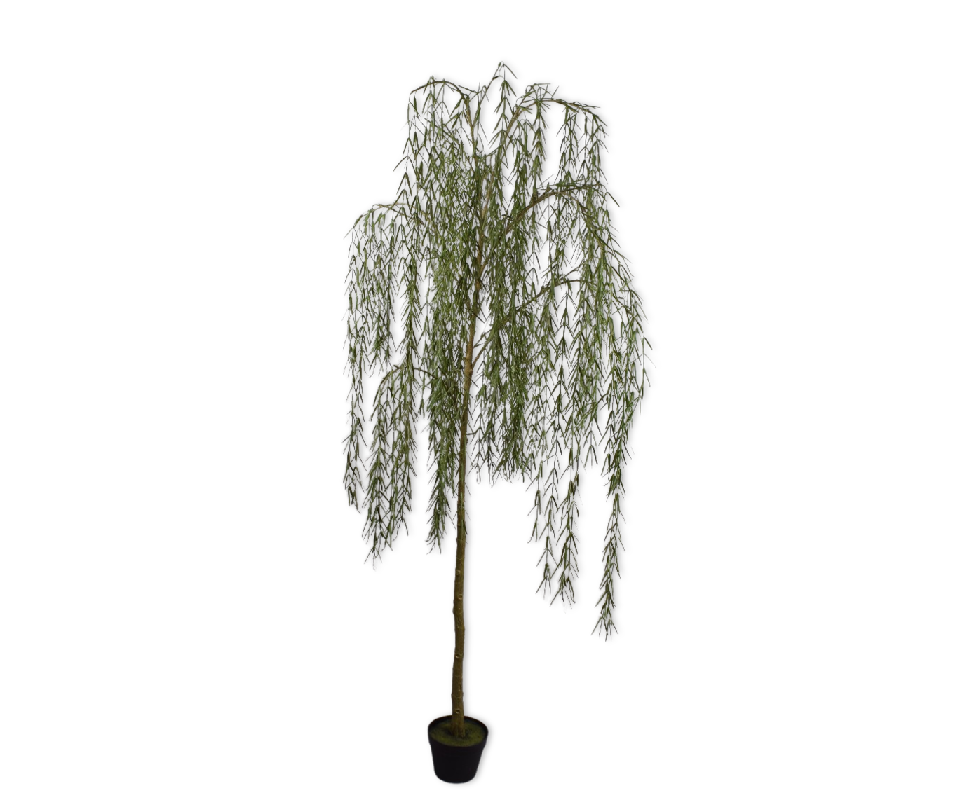 WILG I/POT GROEN  187 cm
