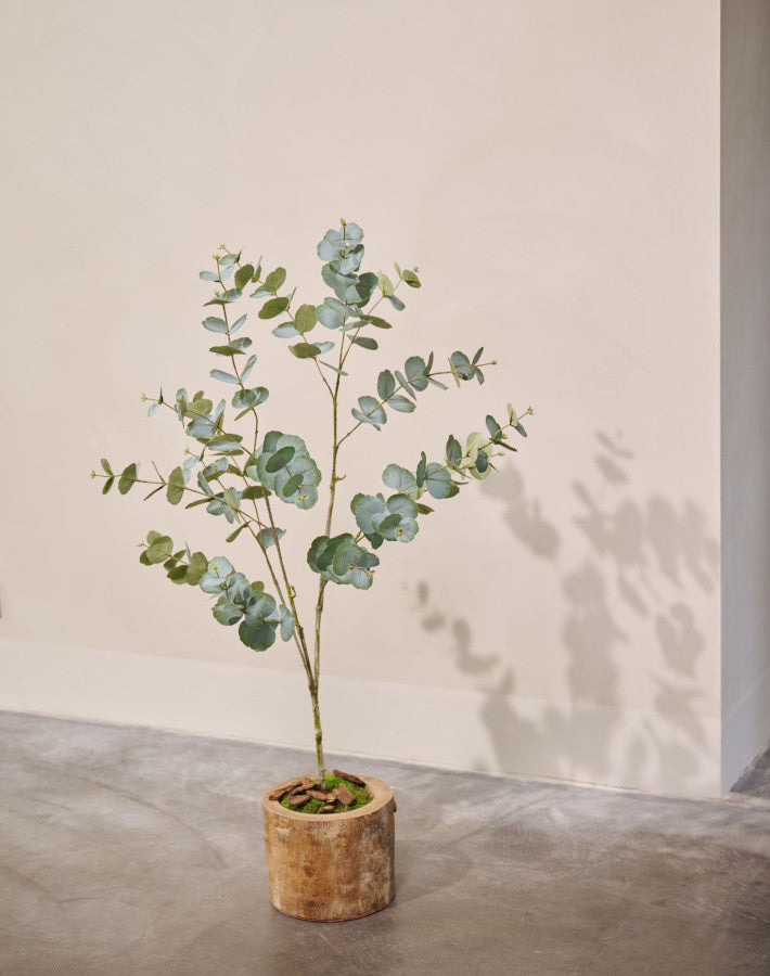 EUCALYPTUS I/POT GROEN  121 cm (set of 4)