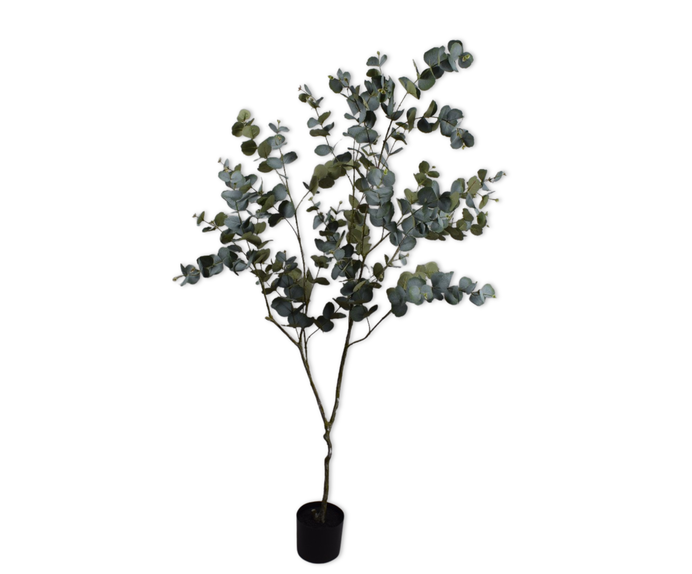 EUCALYPTUS I/POT GROEN  182 cm (set of 2)