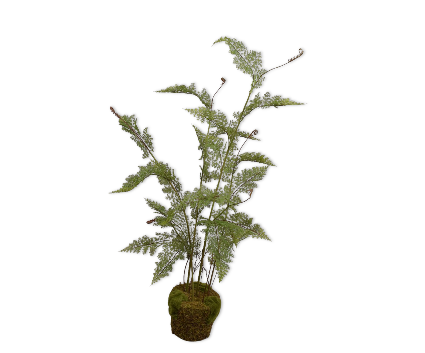 VAREN O/SOIL GROEN  122 cm