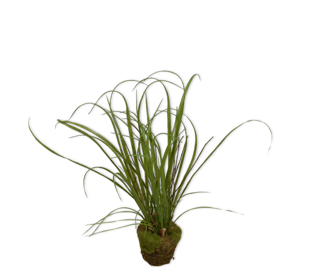 GRAS O/SOIL GROEN  74 cm