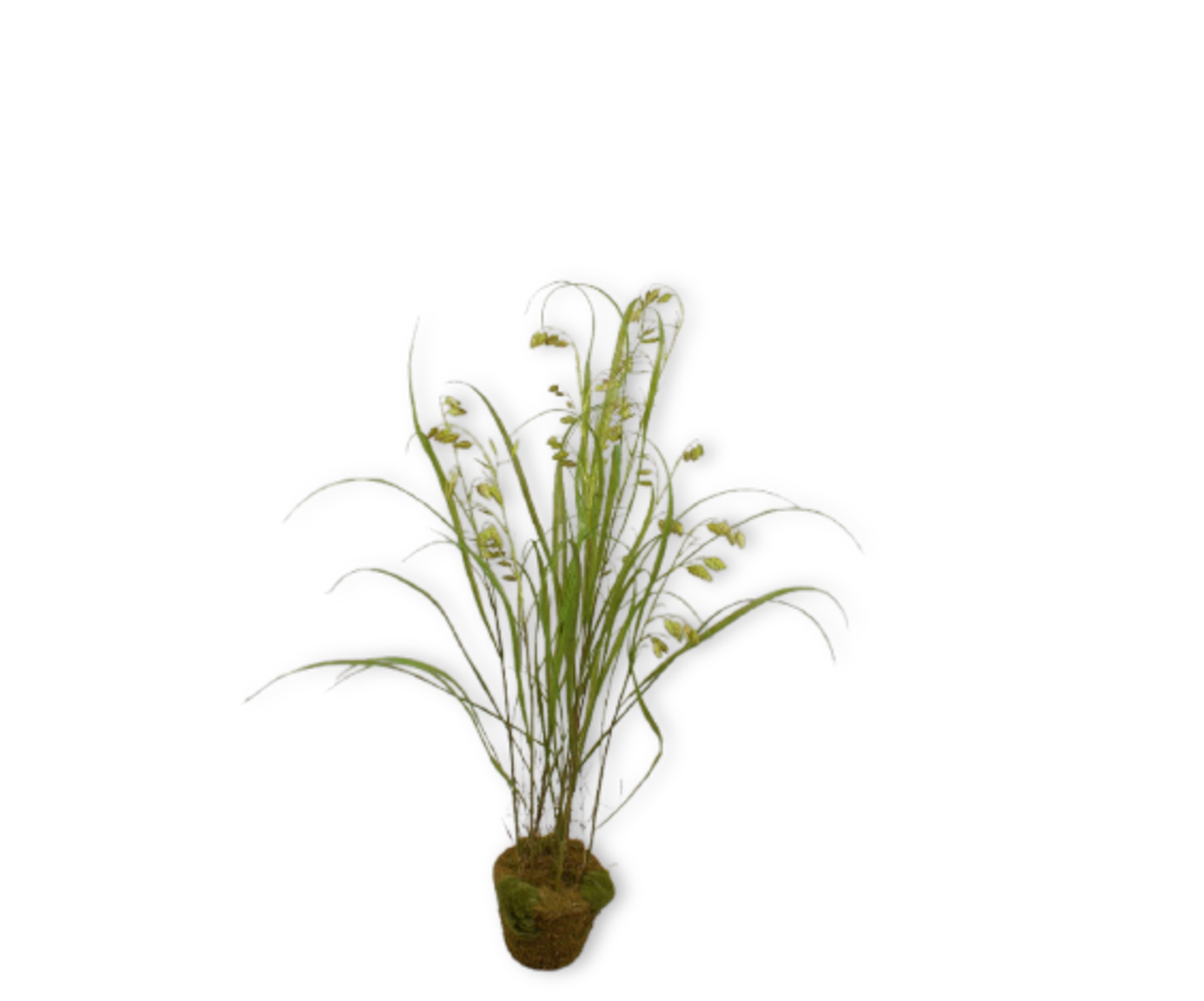 GRAS O/SOIL GROEN  122 cm