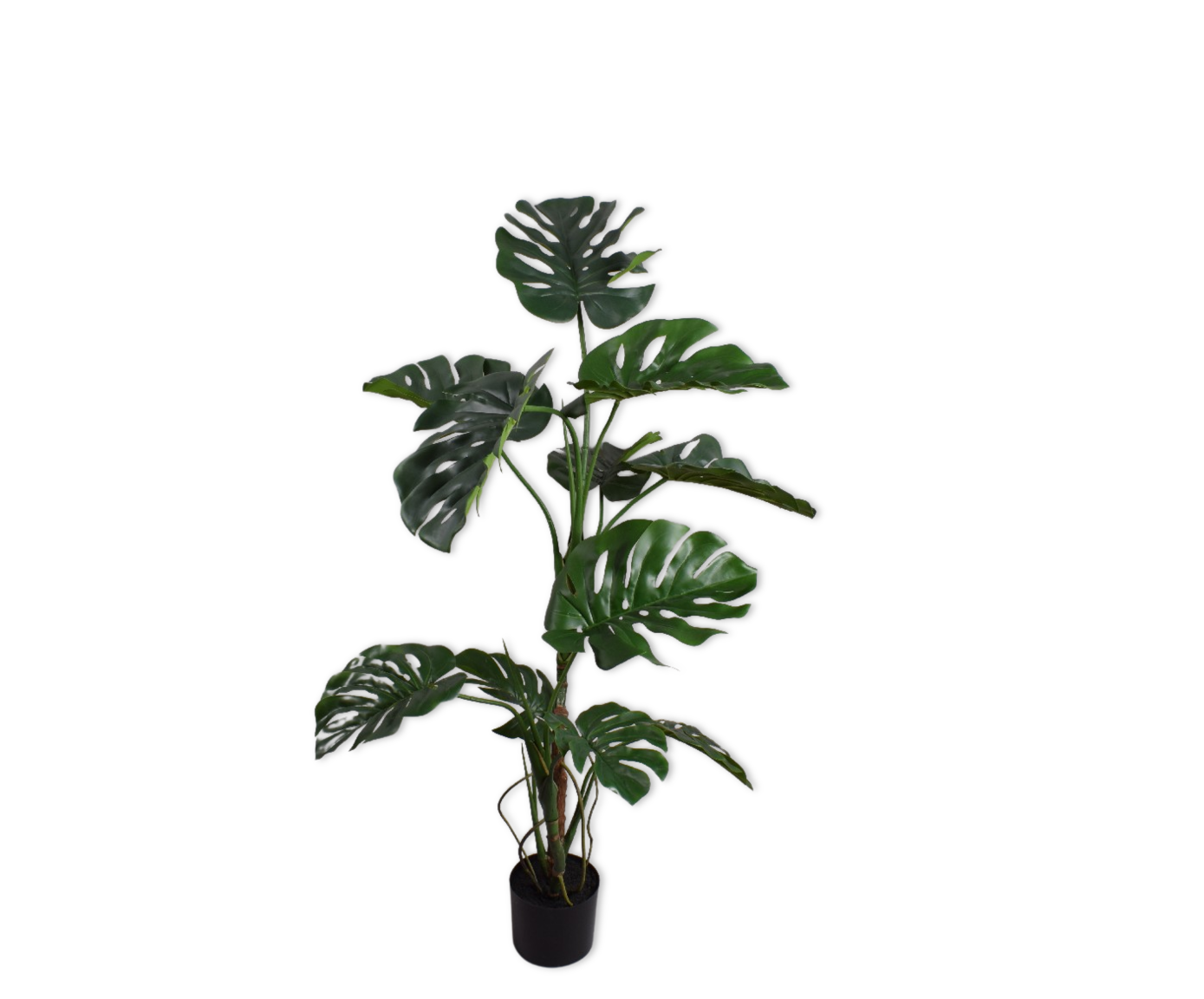 MONSTERA I/POT GROEN  120 cm