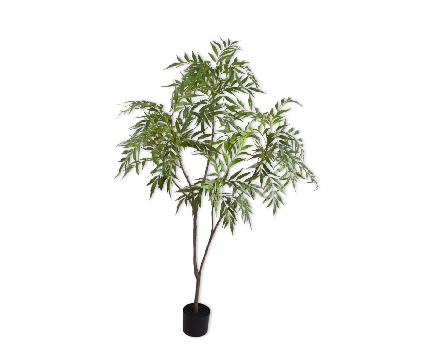 WILG I/POT GROEN  150 cm