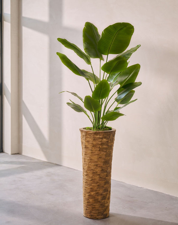 STRELITZIA I/POT GROEN  150 cm