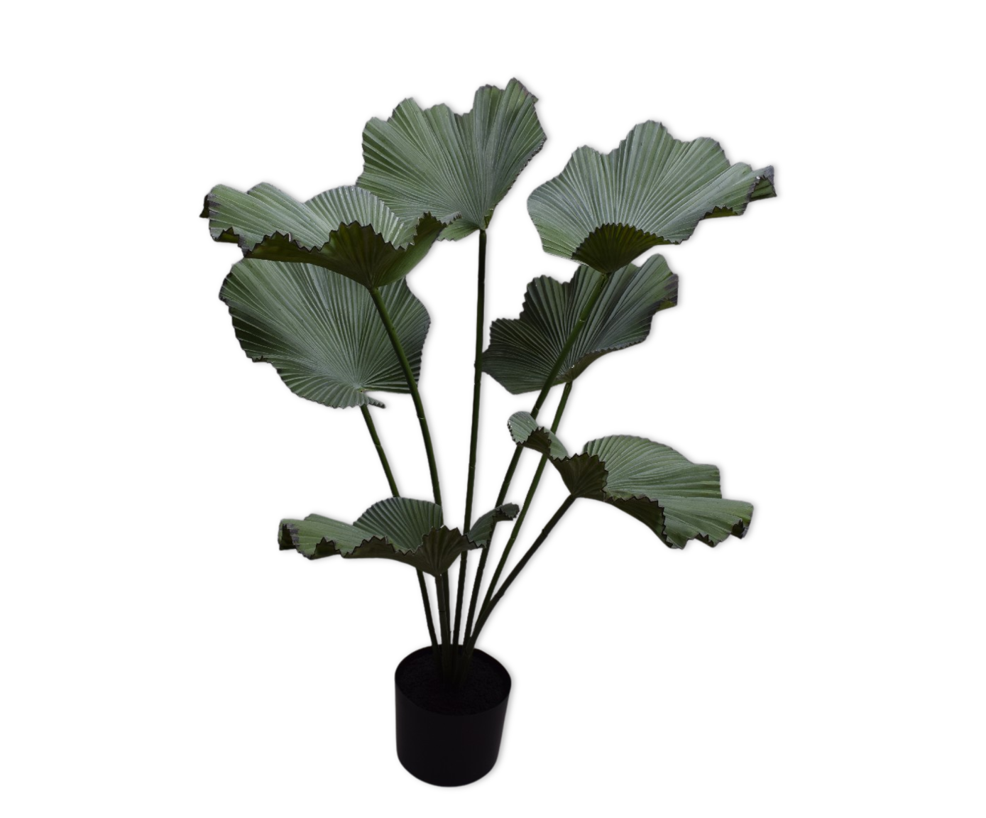 PALM I/POT GROEN  90 cm