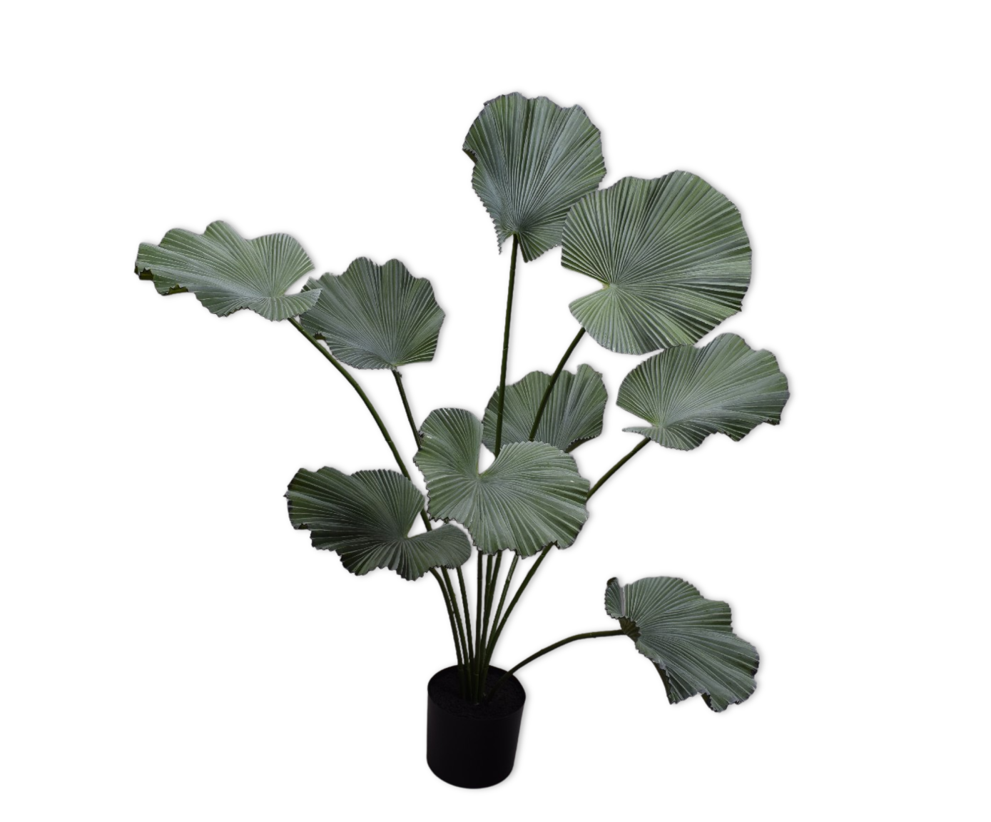 PALM I/POT GROEN  120 cm