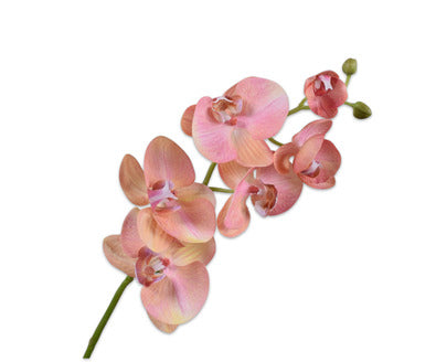 Losse zijdenbloem - Phalaenopsis  Roze Rt - 80 cm