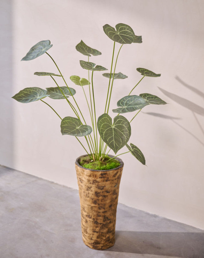 ANTHURIUM PLANT GROEN  125 cm