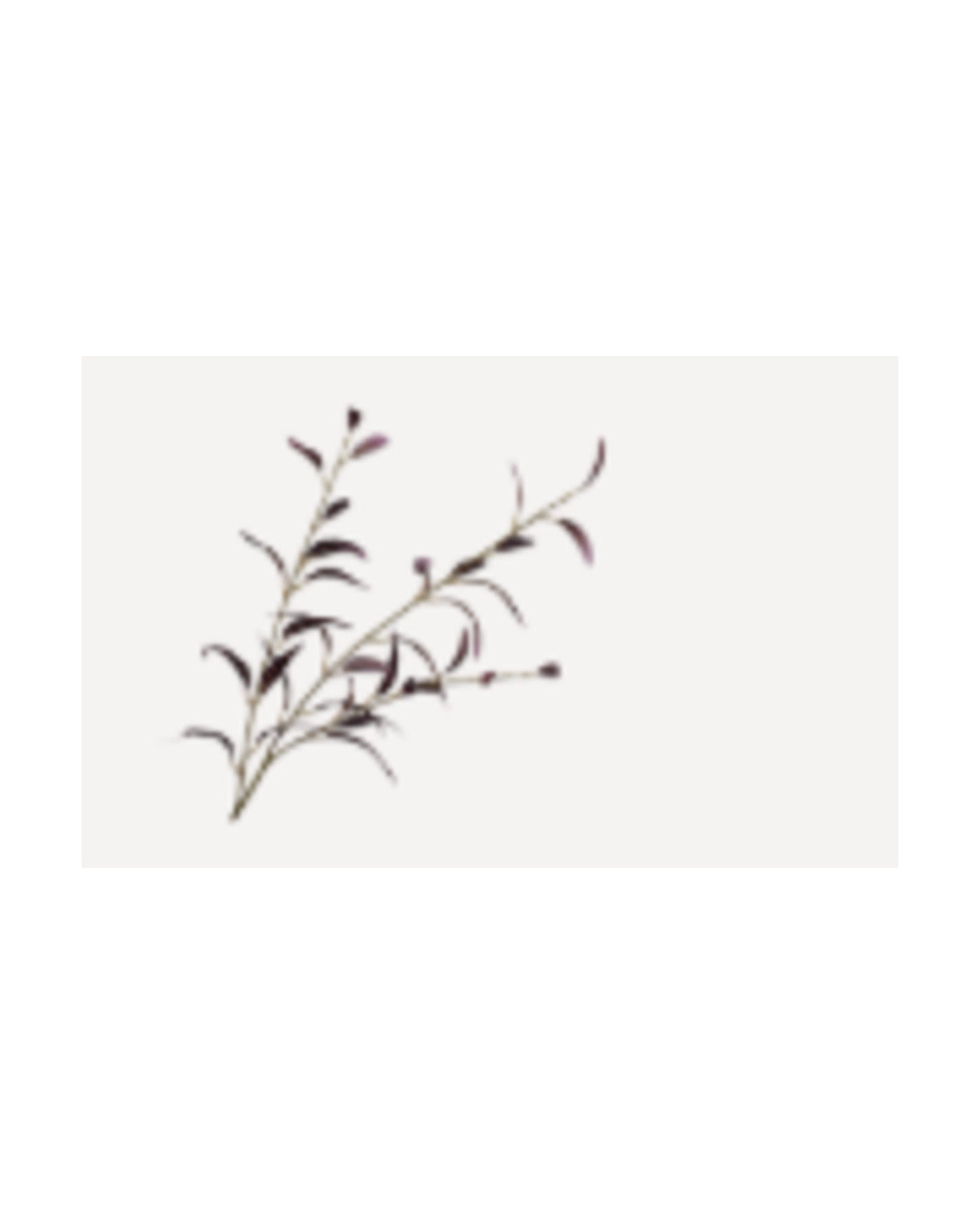 Losse zijden bloem Eucalyptus bordeaux 96 cm