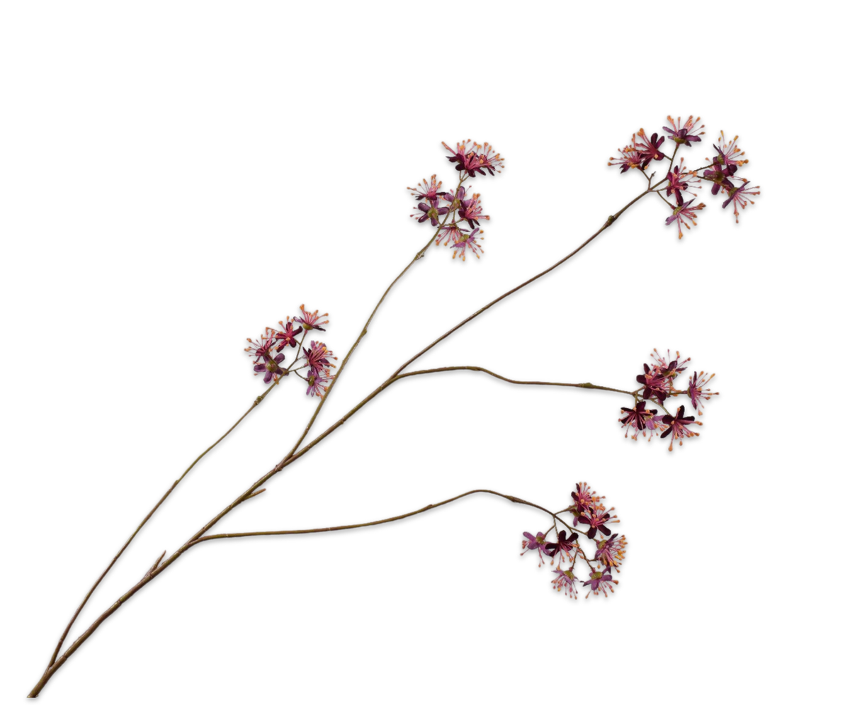 Losse zijden bloem Kappertak bordeaux 111 cm