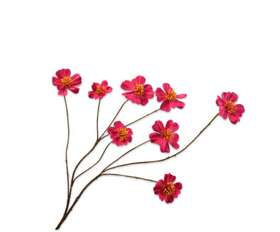 Losse zijdenbloem - Cosmos  Fuchsia - 77 cm