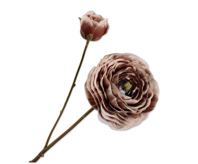 Losse zijdenbloem - Ranonkel  Bruin - 62 cm