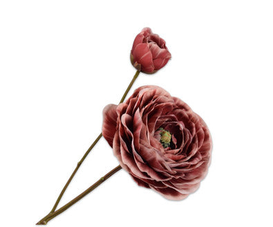 Losse zijdenbloem - Ranonkel  Rd Dk - 62 cm