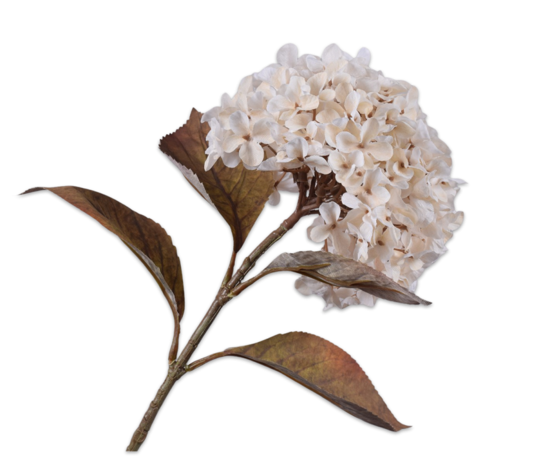 Losse zijden bloem Hortensia crème/groen 67 cm