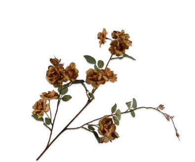 Losse zijdenbloem - Roos  Grn/Brn - 88 cm
