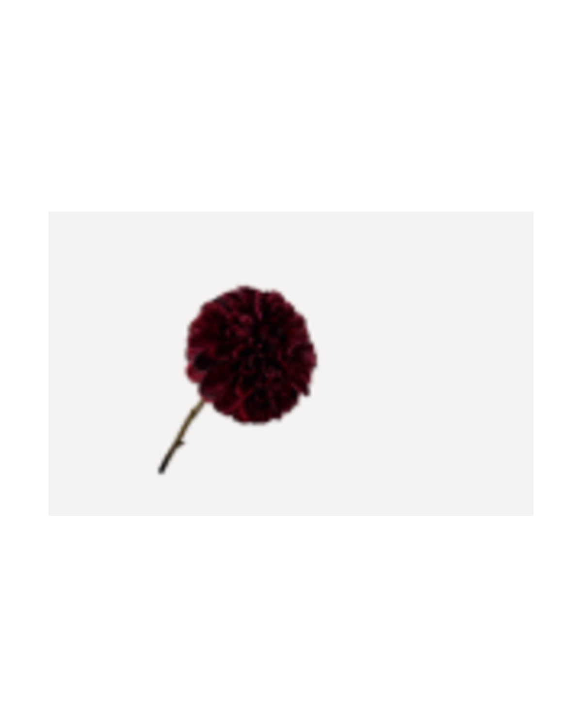 Losse zijden bloem Dahlia bordeaux 74 cm