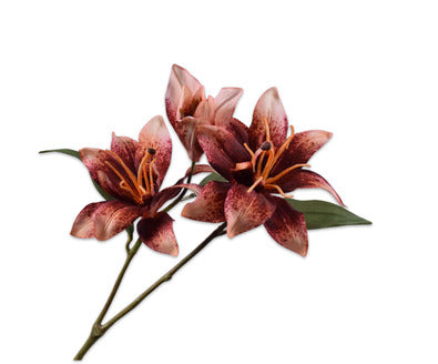 Losse zijdenbloem - Lelie  Bruin - 71 cm