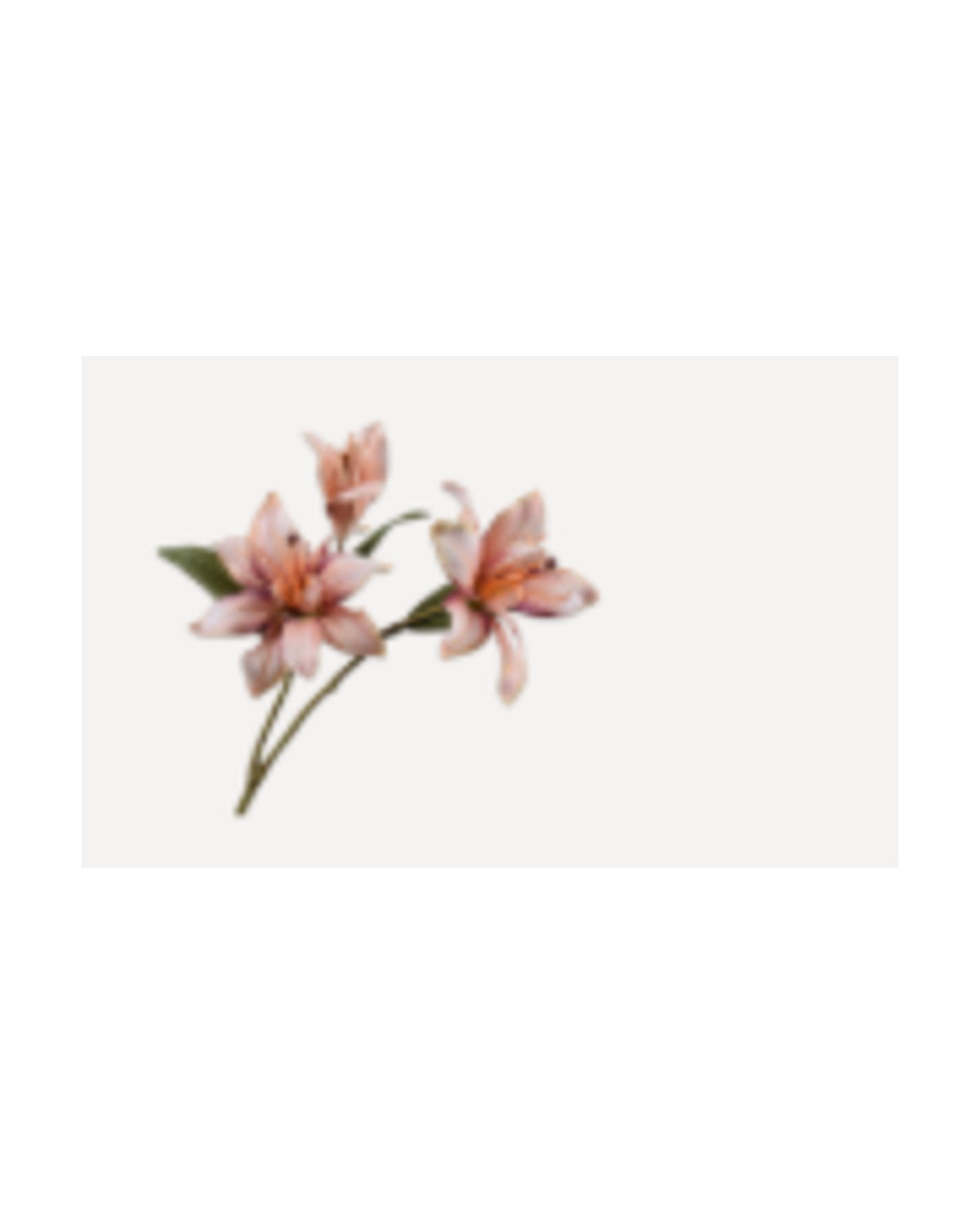 Losse zijden bloem Lelie crème/perzik 75 cm