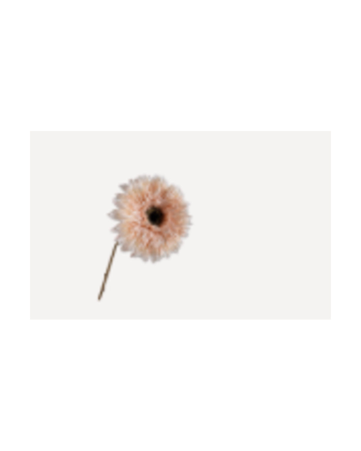 Losse zijden bloem Zonnebloem crème 71 cm