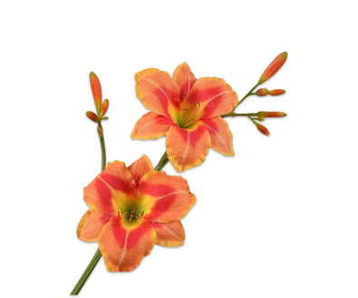 Losse zijdenbloem - Lelie  Oranje - 80 cm