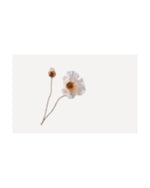 Losse zijden bloem Klaproos crème 82 cm