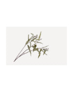 Losse zijden bloem Eucalyptus groen/grijs 97 cm