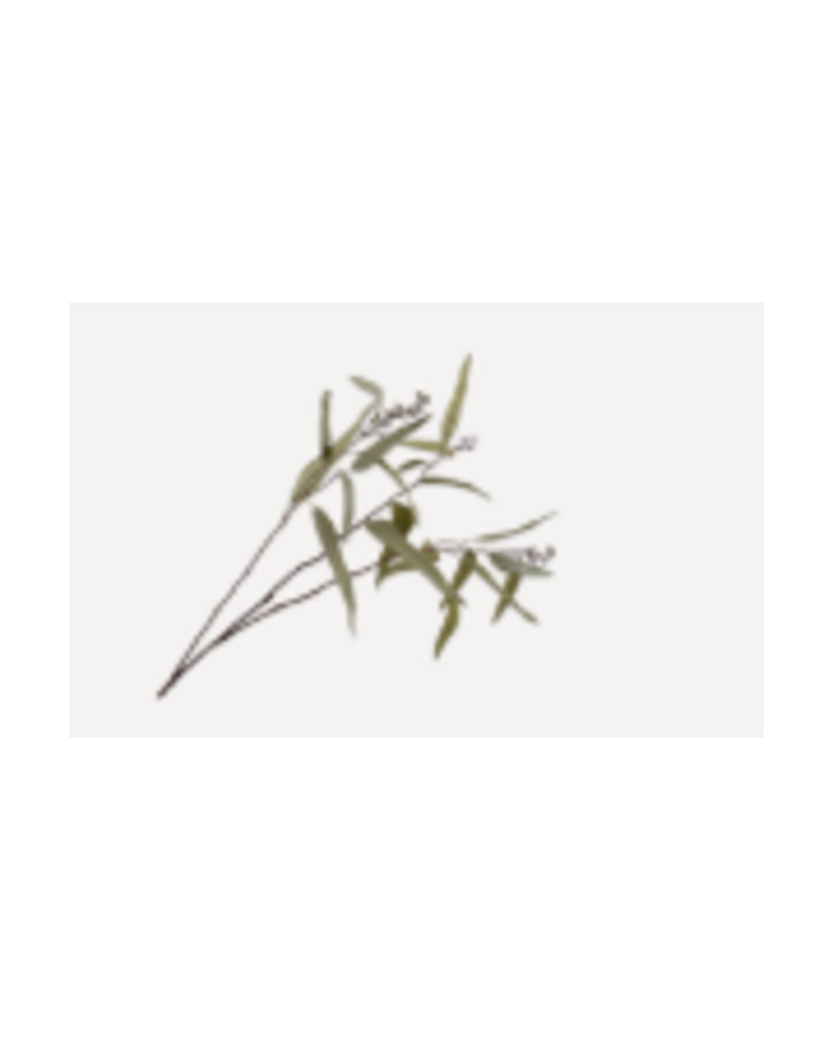 Losse zijden bloem Eucalyptus groen/grijs 97 cm