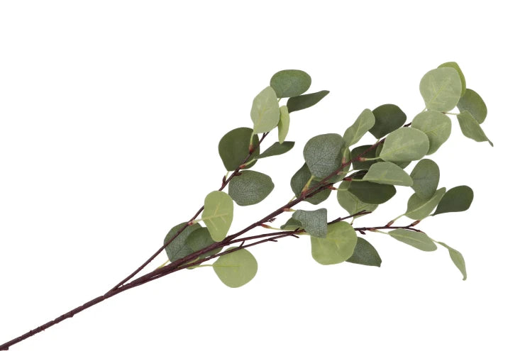Silk eucalyptus tak groen 17x90cm