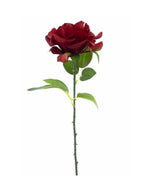 Losse zijden bloem Roos rood 50 cm