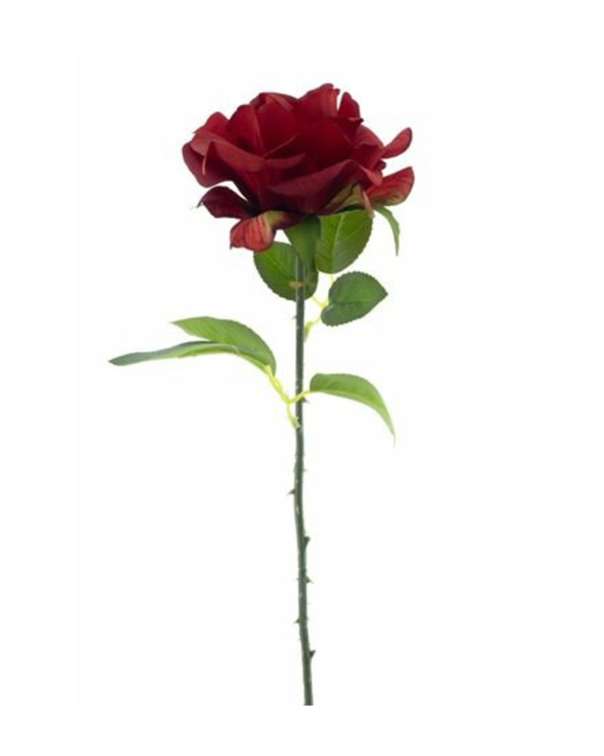 Losse zijden bloem Roos rood 50 cm