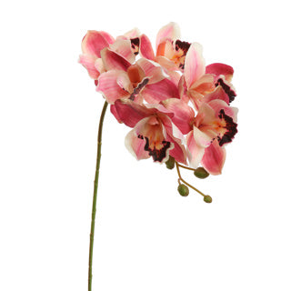 CYMBIDIUM 72CM BEAUTY - Zijden bloem - Kunst bloem -duurzaam