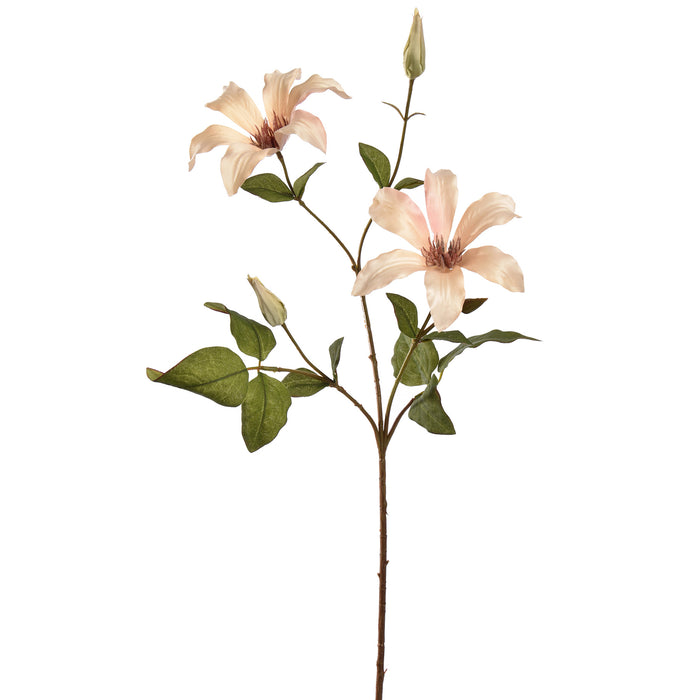 CLEMATIS SPRAY 65CM BEIGE - Zijden bloem - Kunst bloem -duurzaam