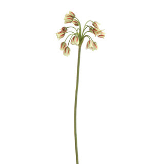 Allium Bulgaricum 70 cm groen - Zijden bloem - Kunst bloem -duurzaam