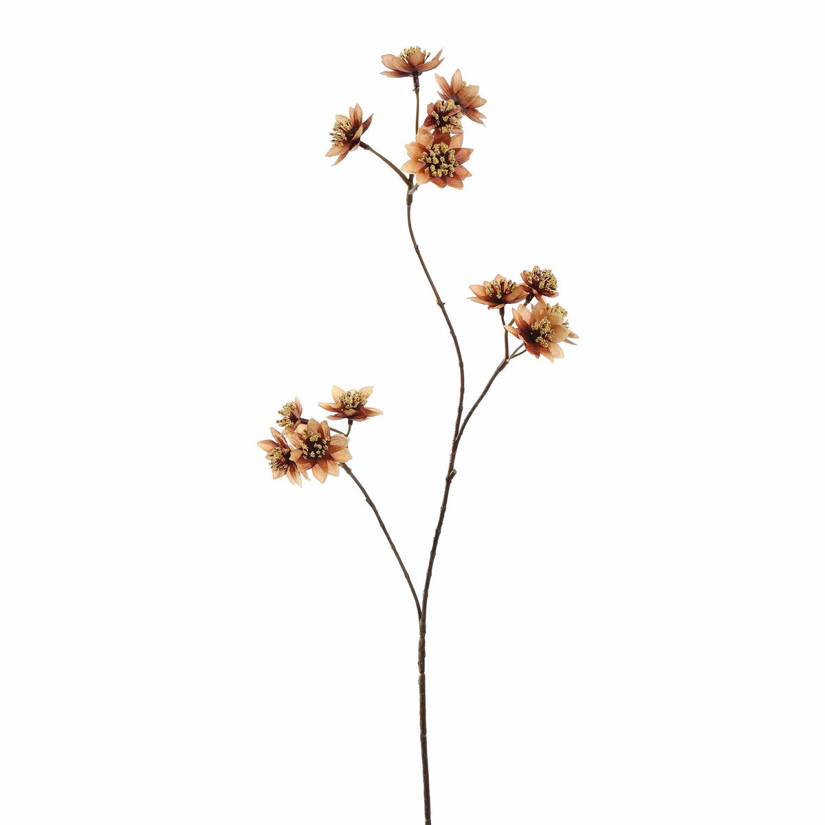 Losse zijden bloem Astrantia bruin 72 cm