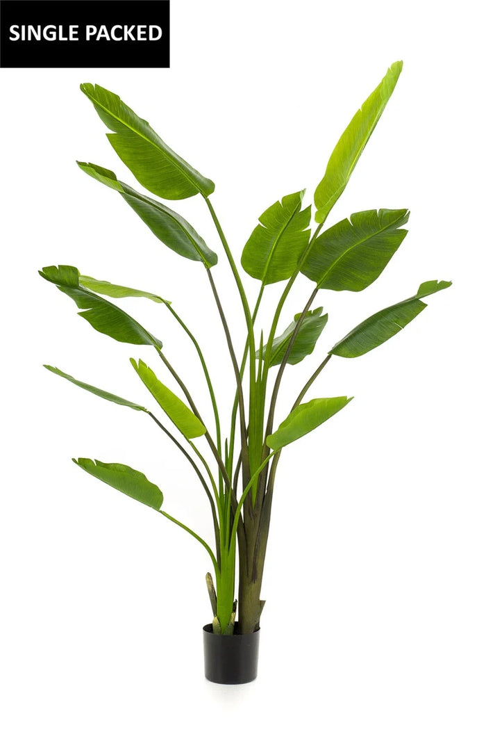 Strelitzia nicolai 180cm/13lvs - Zijden plant - Kunst plant