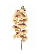 Losse zijden bloem Vlinderorchidee geel/fuchsia 100 cm