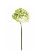Losse zijden bloem Flamingoplant groen 65 cm