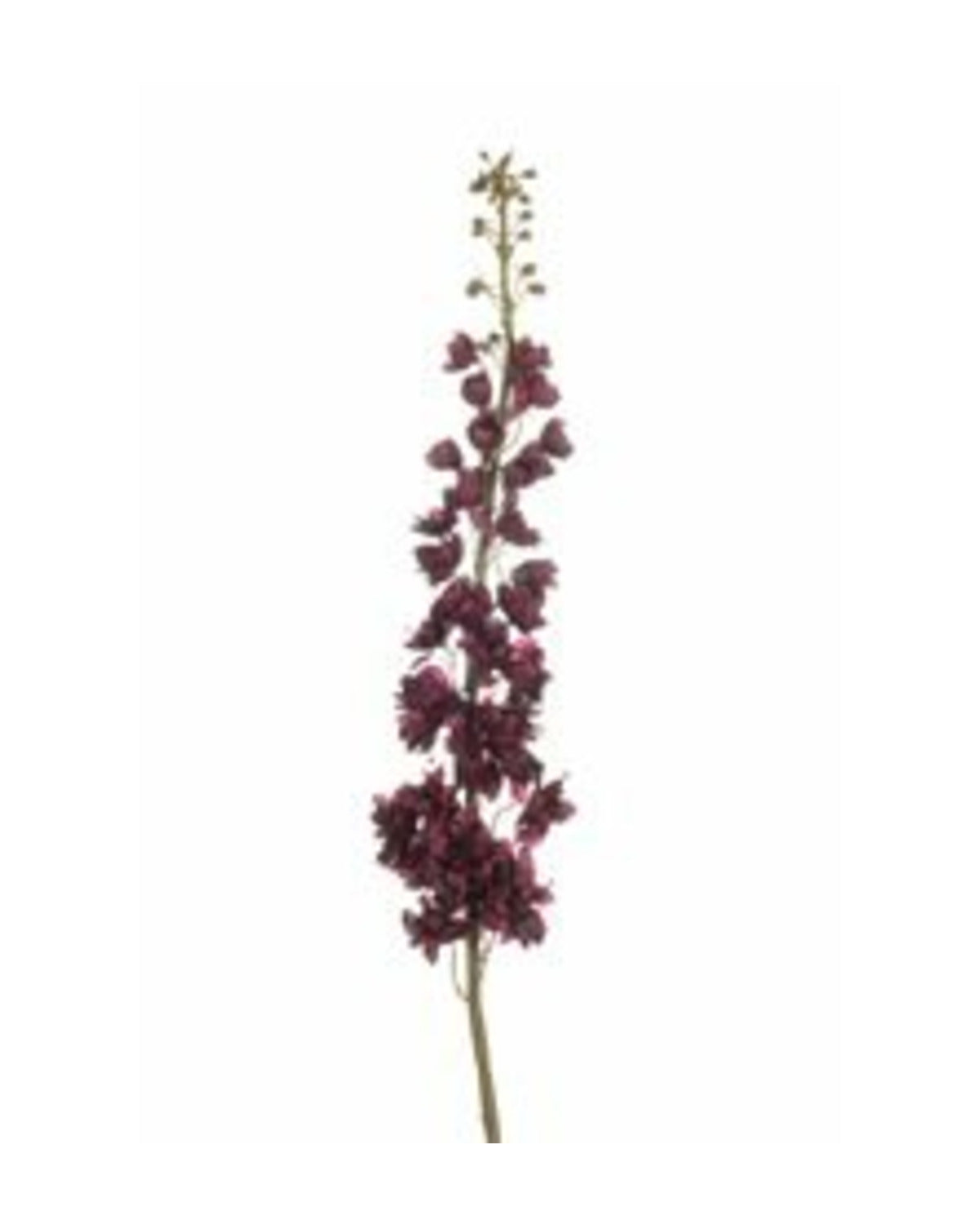 Losse zijden bloem Ridderspoor XL bordeaux 130 cm
