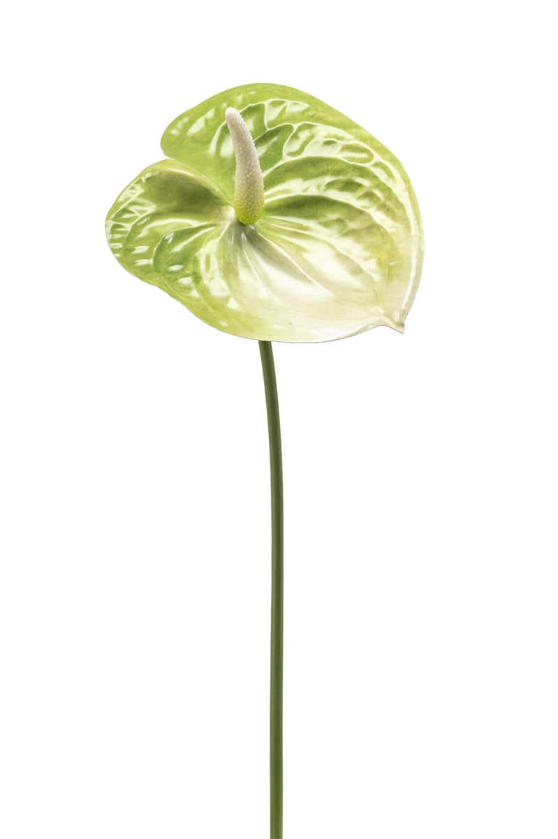 Losse zijden bloem Flamingoplant groen 65 cm