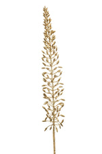 Losse zijden bloem Eremurus goud 105 cm