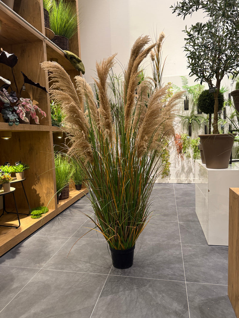 Palm grass - 183cm - kunstplant - zijdenplant