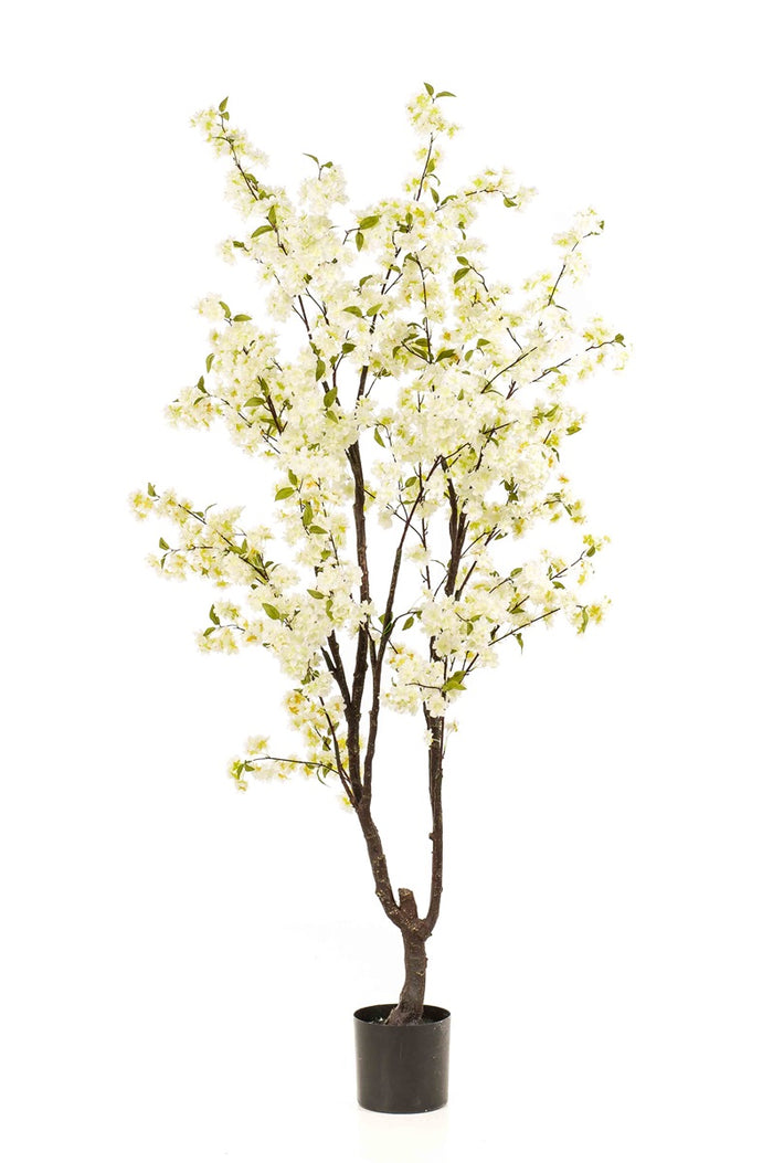 Cherry blossom tree white 210cm- Zijden boom- Kunst boom- duurzaam
