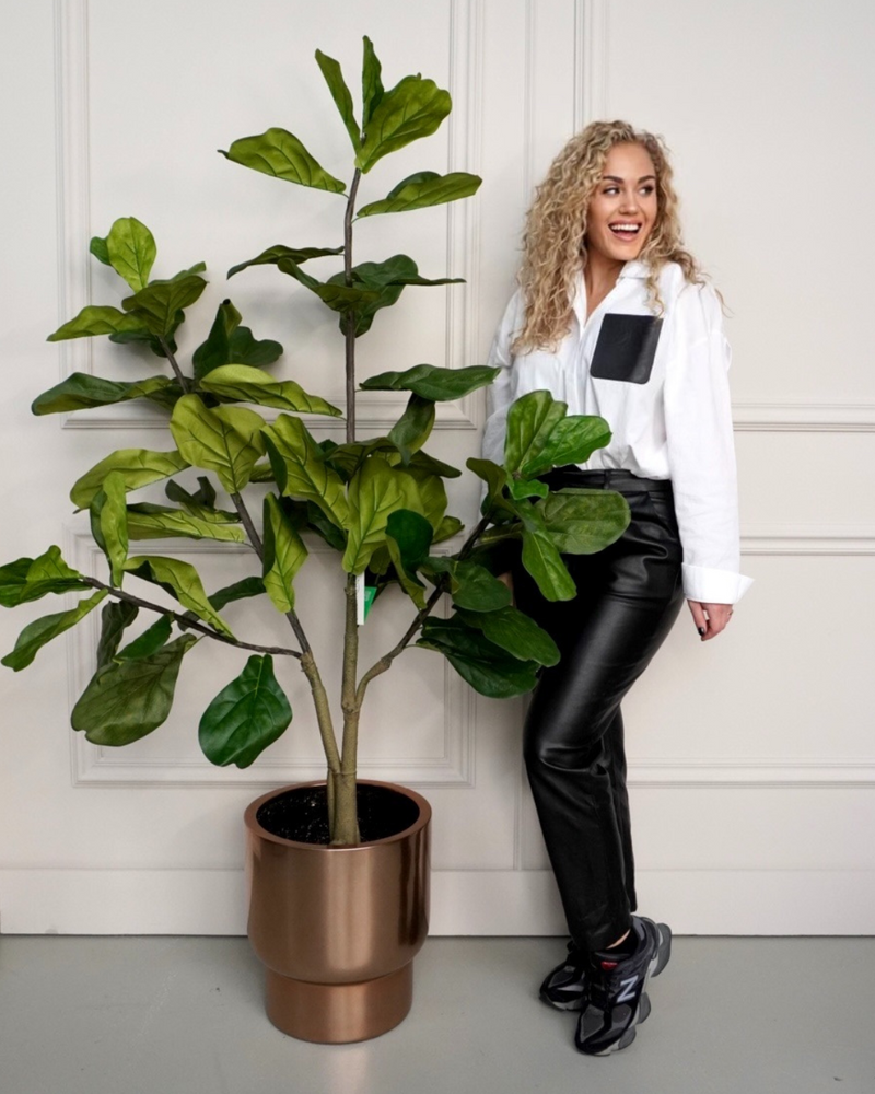 Ficus - Janice blok - Zijden plant - Kunst plant - 180cm