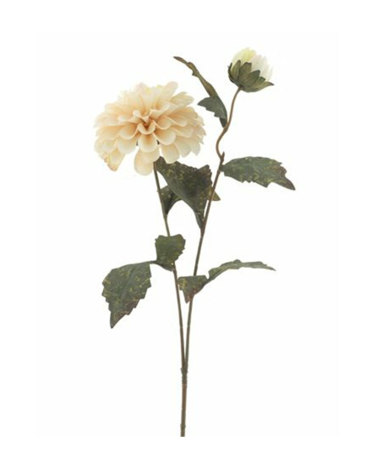Losse zijden bloem Zinnia crème 66 cm