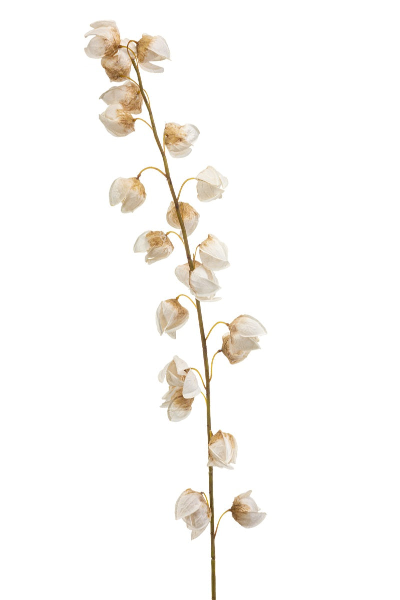 Losse zijden bloem Lampionplant crème 130 cm